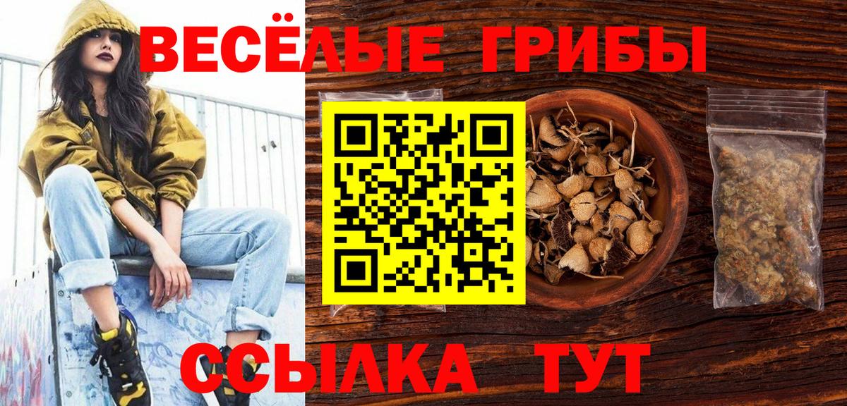 Черногорск  Галлюциногенные грибы GOLDEN TEACHER  Вход с VPN 
